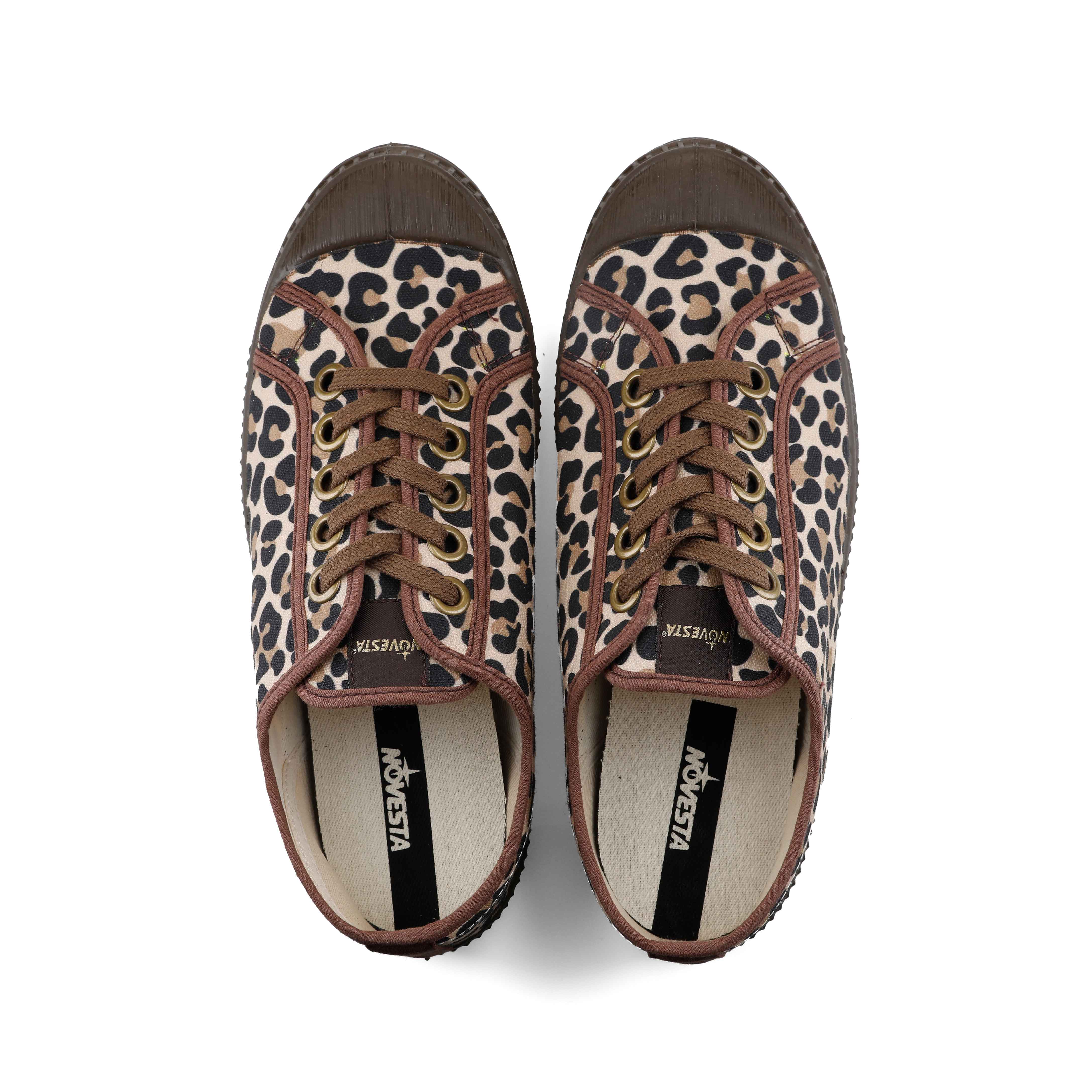 Picture of Star Master Leopard/Potting